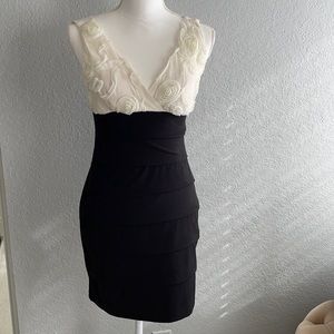 Sweet Storm, Black White Stretch Dress, Medium